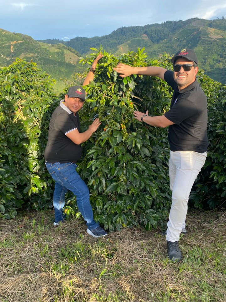 Pacamara Coffee - Monte Blanco Nitelikli Kahve
